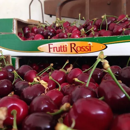 Fruttirossi *