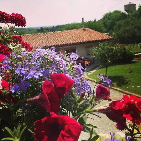 Fruttirossi * Trofarello