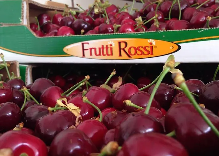 Fruttirossi *