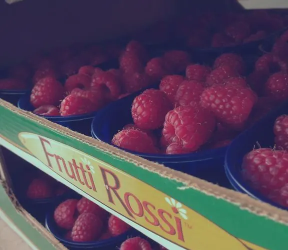 Fruttirossi